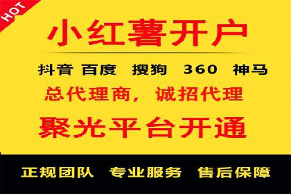 SEM广告投放的技巧与策略——成功案例分享